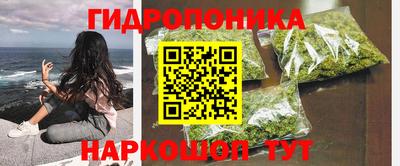 индика Коммунар